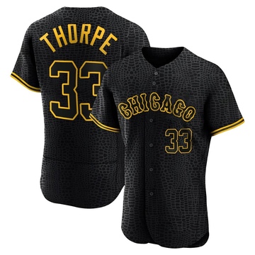 Drew Thorpe Men's Authentic Chicago White Sox Black Snake Skin City Jersey